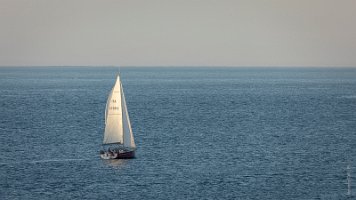 RC542399